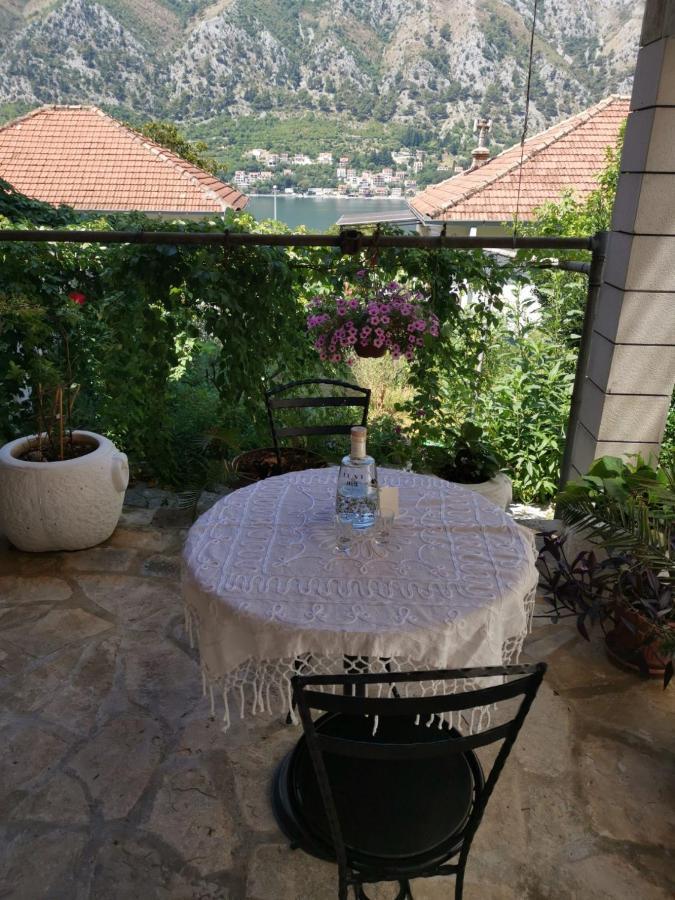 Apartments Coso Zlatne Njive Bb Kotor Luaran gambar