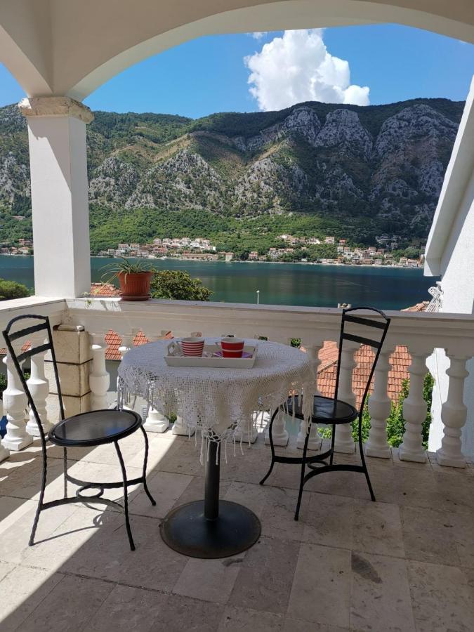 Apartments Coso Zlatne Njive Bb Kotor Luaran gambar