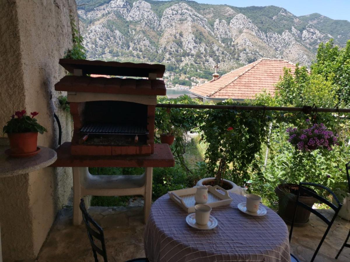 Apartments Coso Zlatne Njive Bb Kotor Luaran gambar