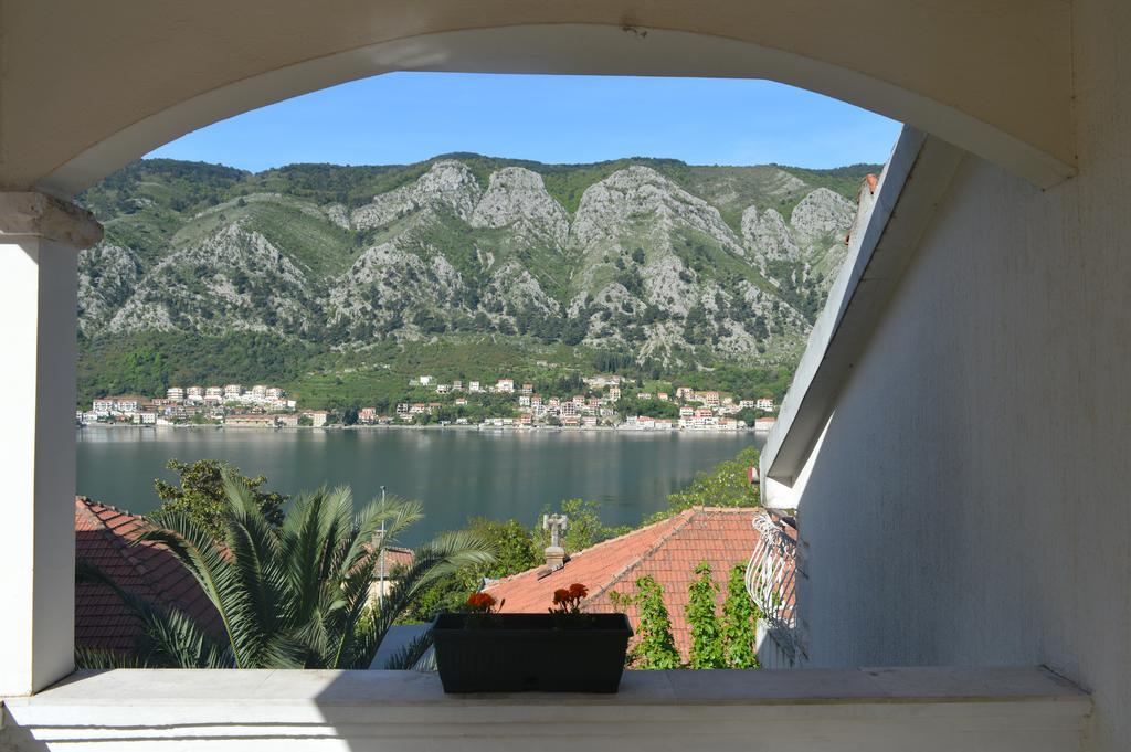 Apartments Coso Zlatne Njive Bb Kotor Luaran gambar